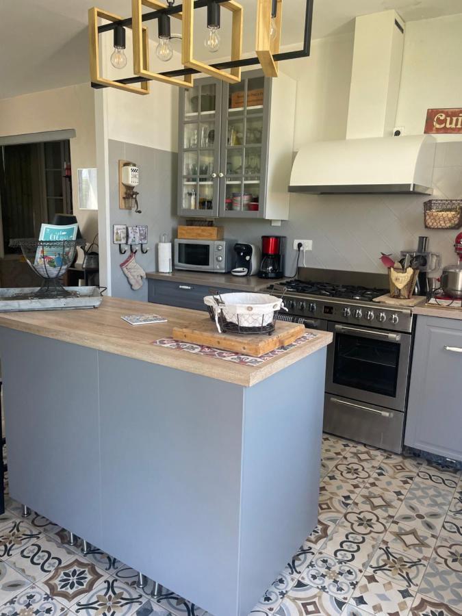 Appartement Avec Jardin En Ville LʼIsle-sur-la-Sorgue Dış mekan fotoğraf